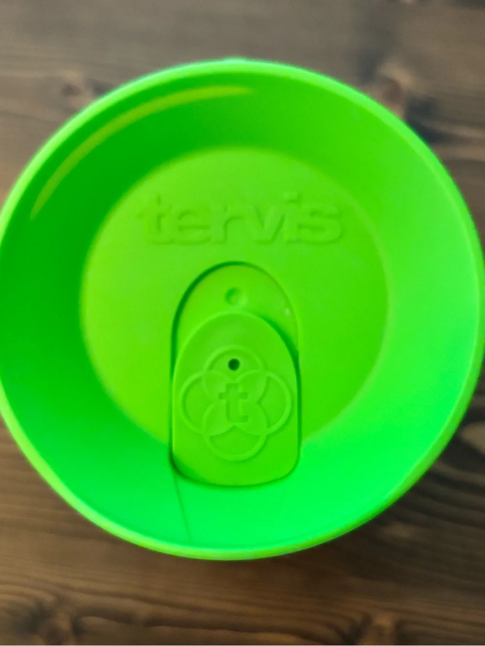 tervis Green Lid Tumbler with Multi-Color Camper Van Design
